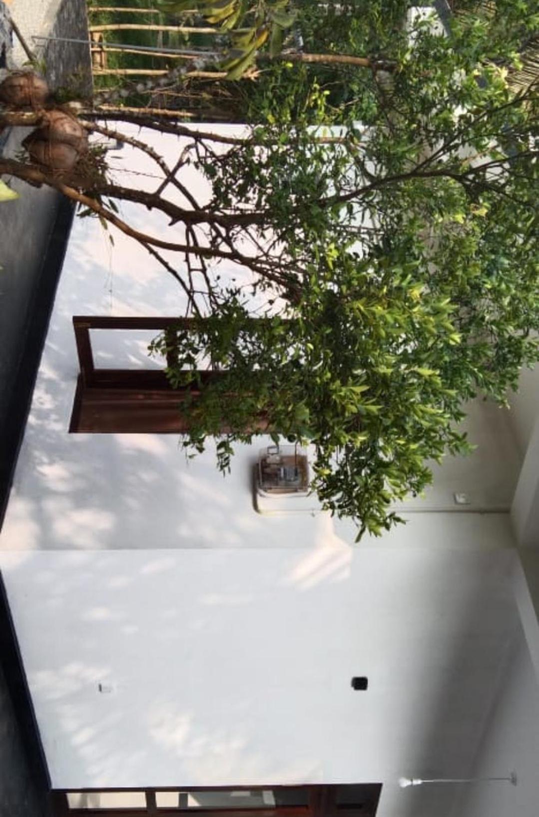 Villa Elegant - Weligama Dış mekan fotoğraf